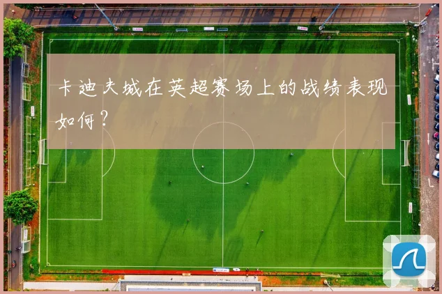 卡迪夫城在英超赛场上的战绩表现如何?