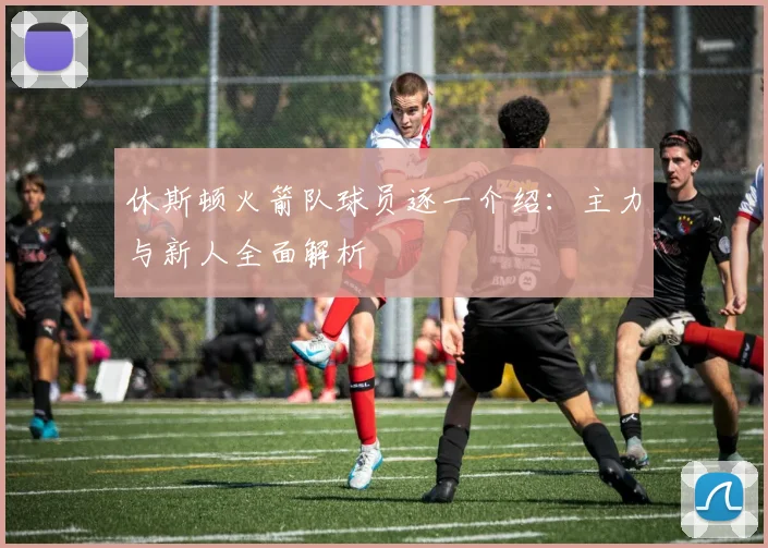 休斯顿火箭队球员逐一介绍：主力与新人全面解析