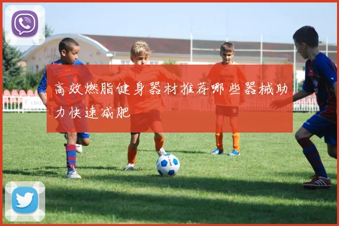 高效燃脂健身器材推荐哪些器械助力快速减肥