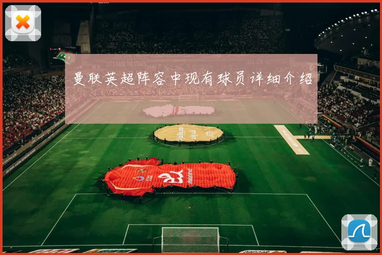 曼联英超阵容中现有球员详细介绍