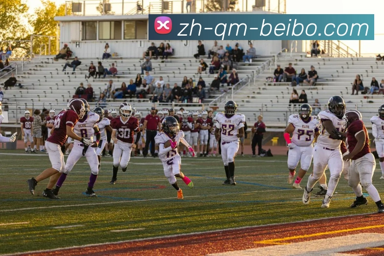 BB体育下载发展历程