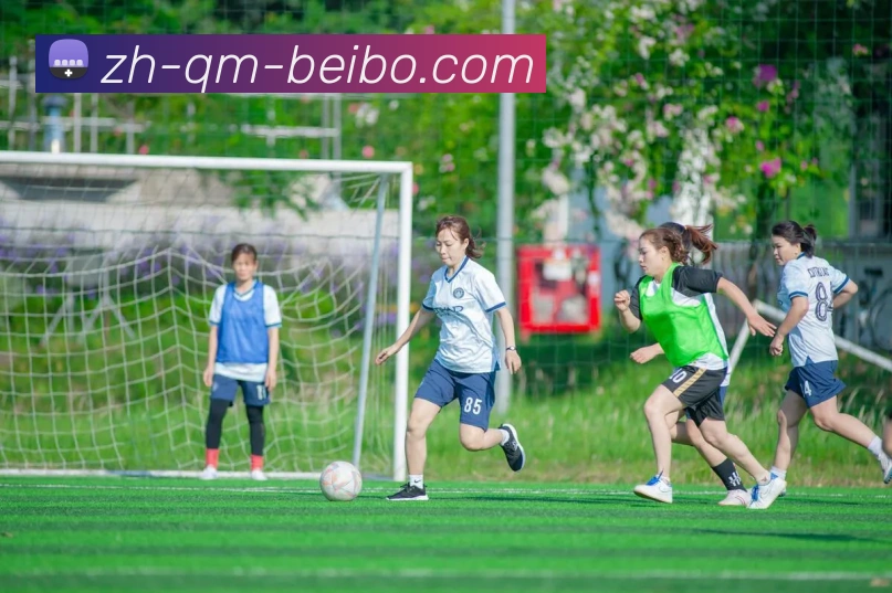 谢菲尔德联是否属于英超球队?球队现状详解